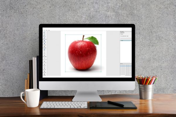 Brand New With Tags – Labelling Objects for Detection - Bays Consulting